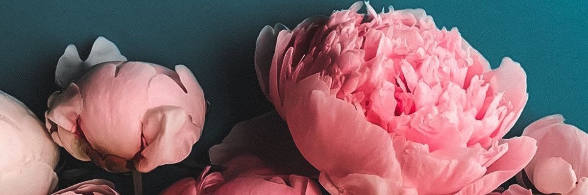 odalysmacias22's profile banner image