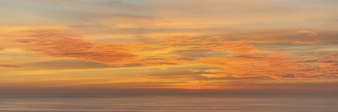 Kenzie_Stoffer's profile banner image