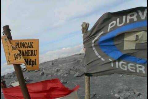 Tiger Purwokerto banner
