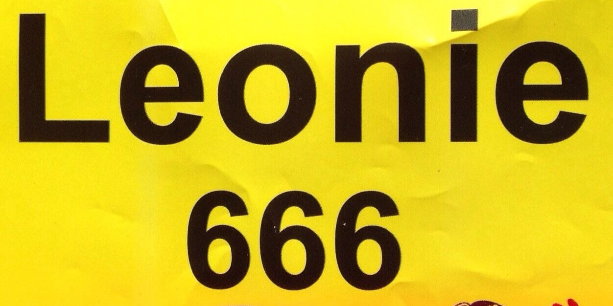 LeonieMerrick's profile banner image