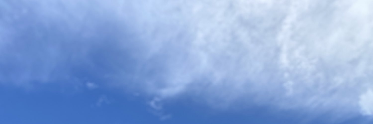 paularauj_'s profile banner image