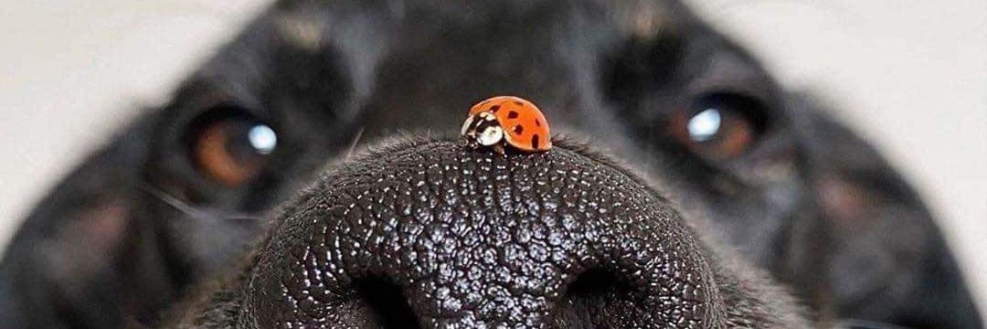 MateoCastro2723's profile banner image