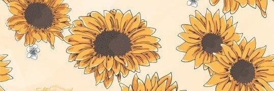everodriguezx's profile banner image