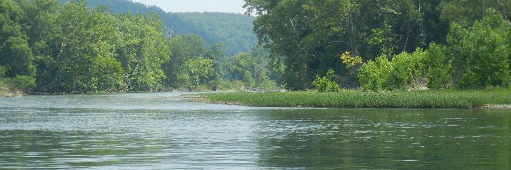 Biologycorner banner