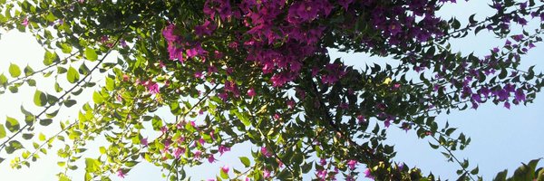 kriaelf Profile Banner