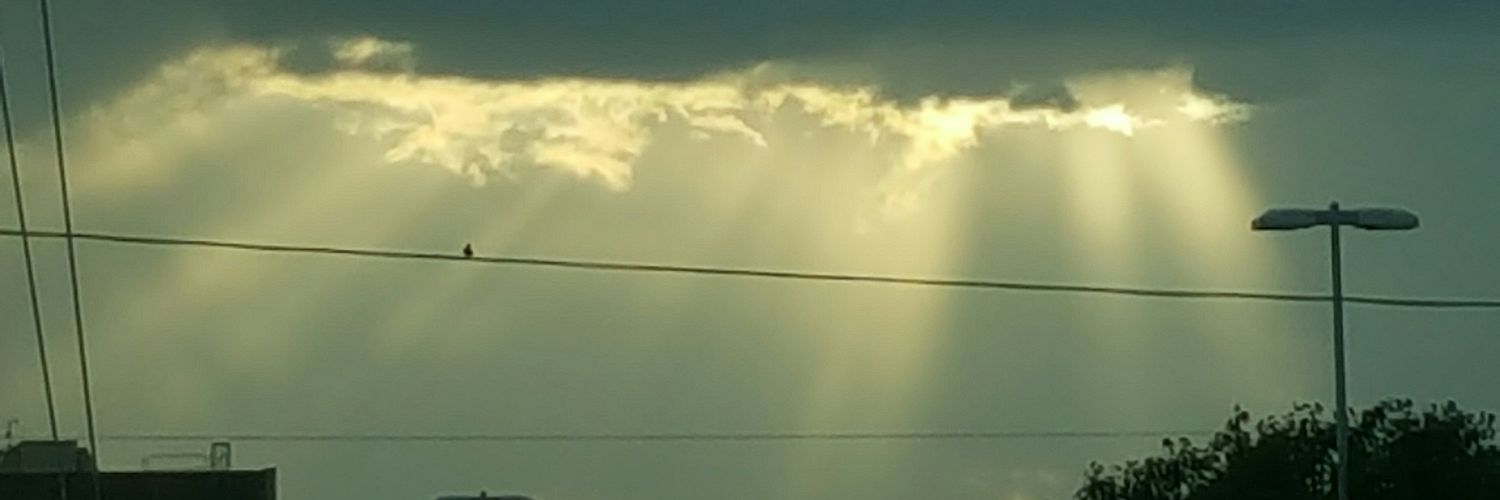 ReneeDeLeon9's profile banner image