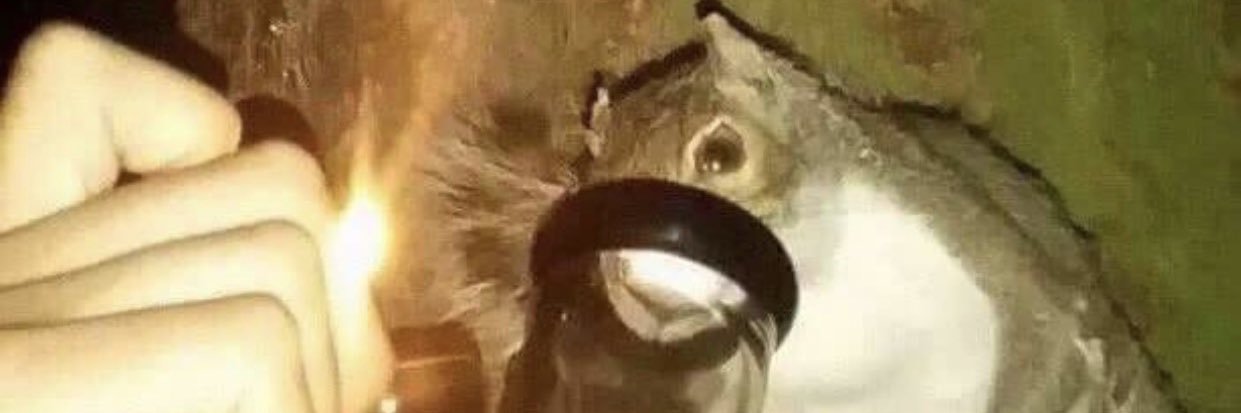 NO_belium's profile banner image