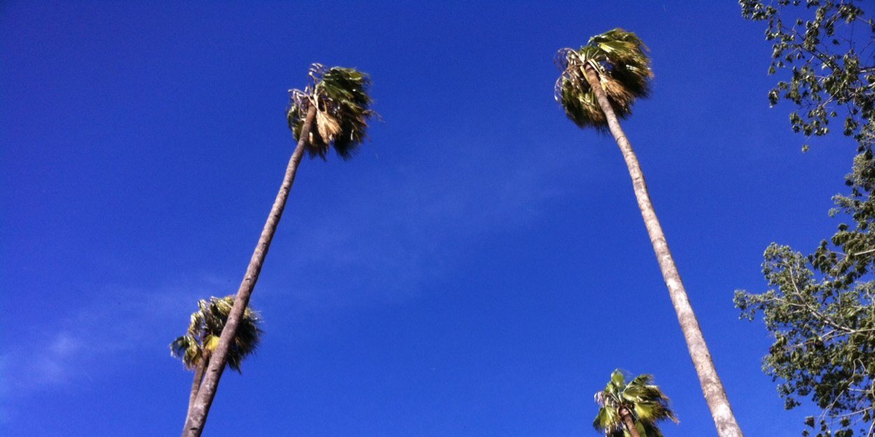 Amar Chandarana banner