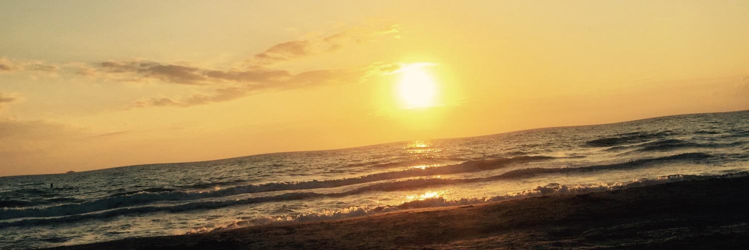 karbear_14's profile banner image
