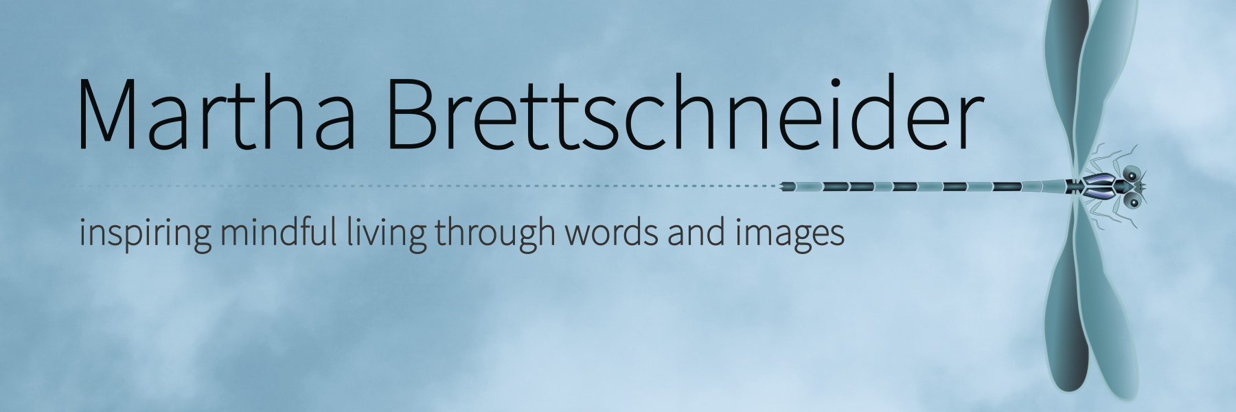 marthabrett's profile banner image