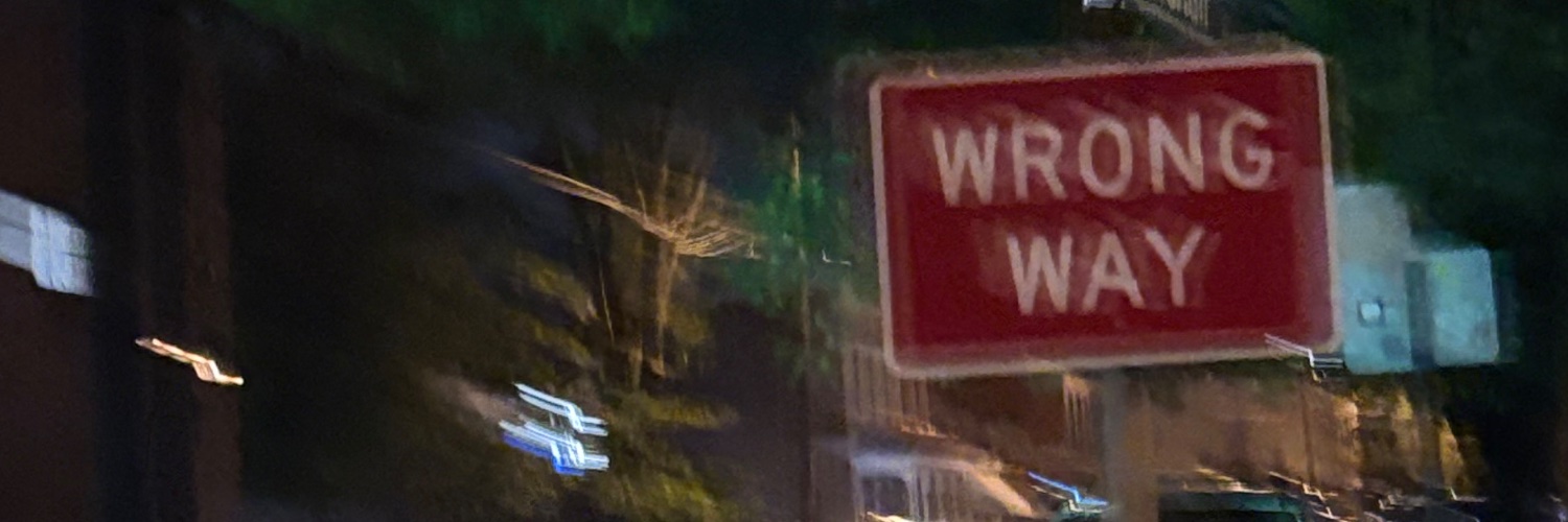 perksoftina's profile banner image