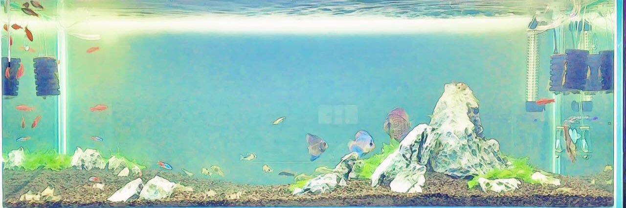 atyan_datastock's profile banner image