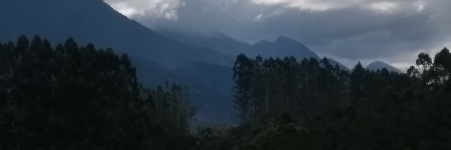 ZeMauro8's profile banner image