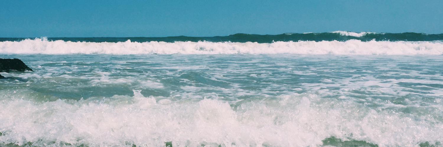 EmilyRogann's profile banner image