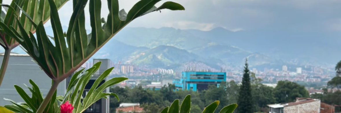 panepento's profile banner image