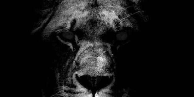 Kelvin Broadnax banner