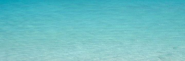 yahweiz's profile banner image