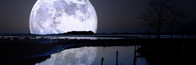 dollar_207's profile banner image