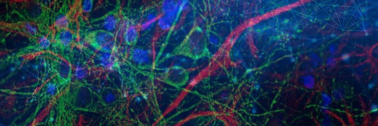 Philippe Batreau banner