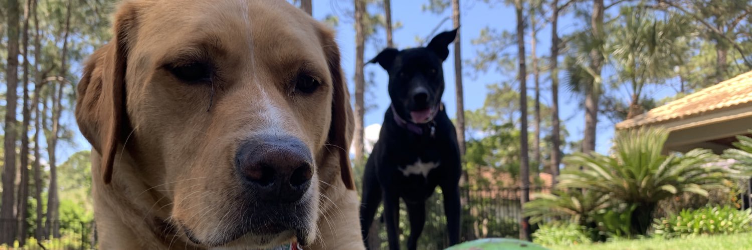 cocks9's profile banner image