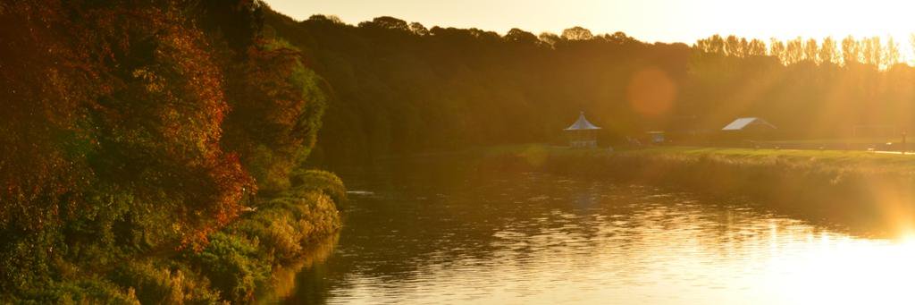 MusicScienceDurham banner