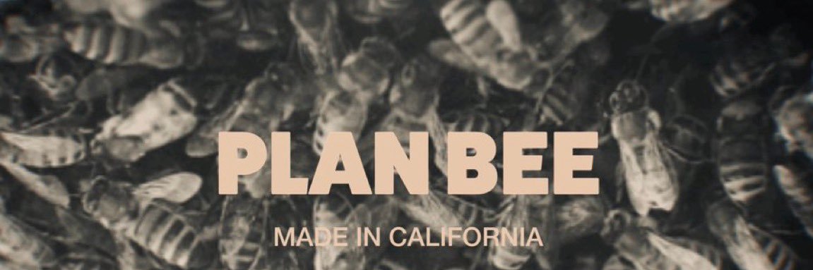 CryptoMileHigh ✳️ banner