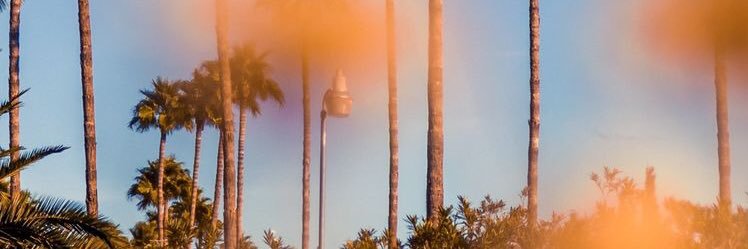 ismiaww's profile banner image
