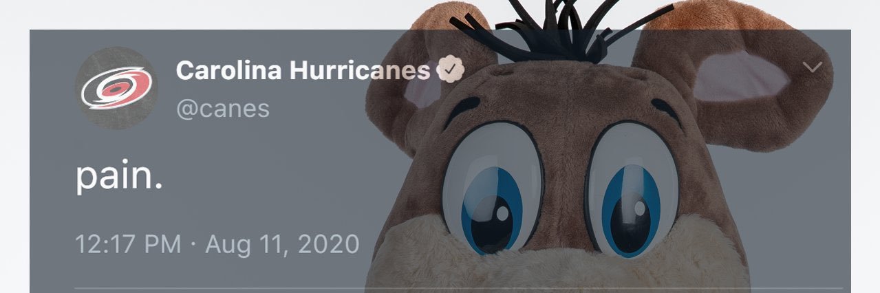 sanger_sam's profile banner image