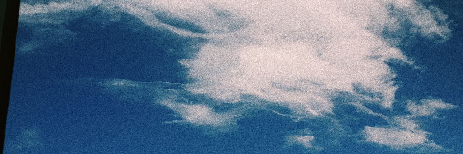 lauvanec_b's profile banner image