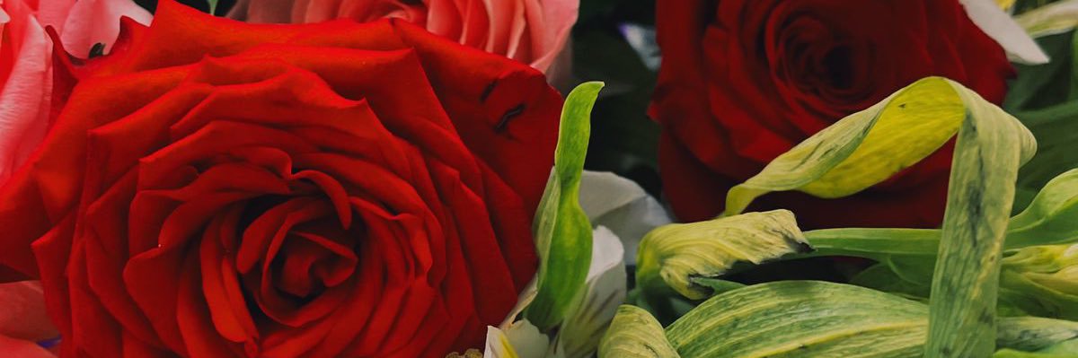 _michellefelix's profile banner image