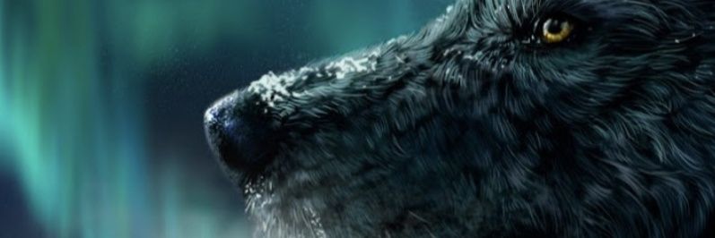 turtlefstp's profile banner image