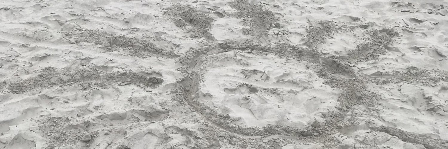 floppypuppo's profile banner image