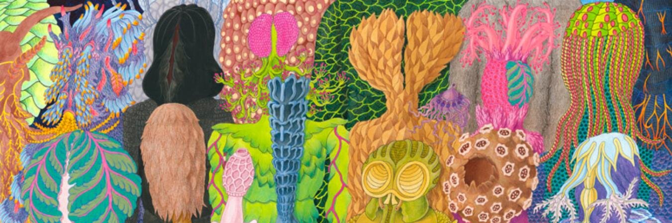 Wudewose's profile banner image