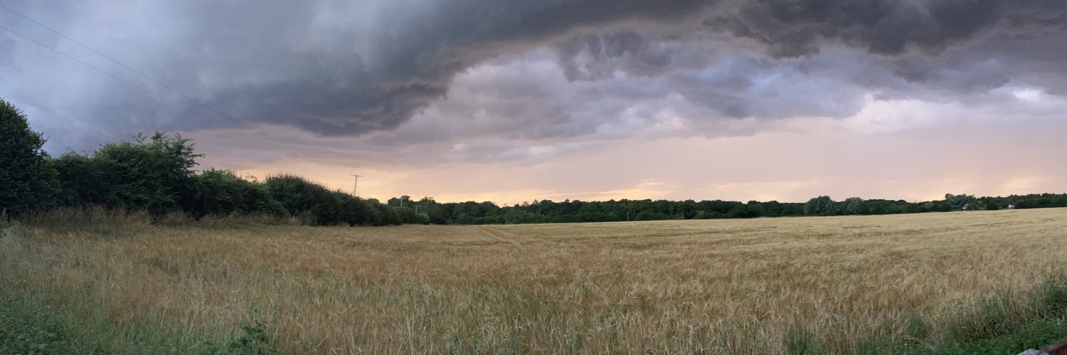 N&SWing Development Officer banner