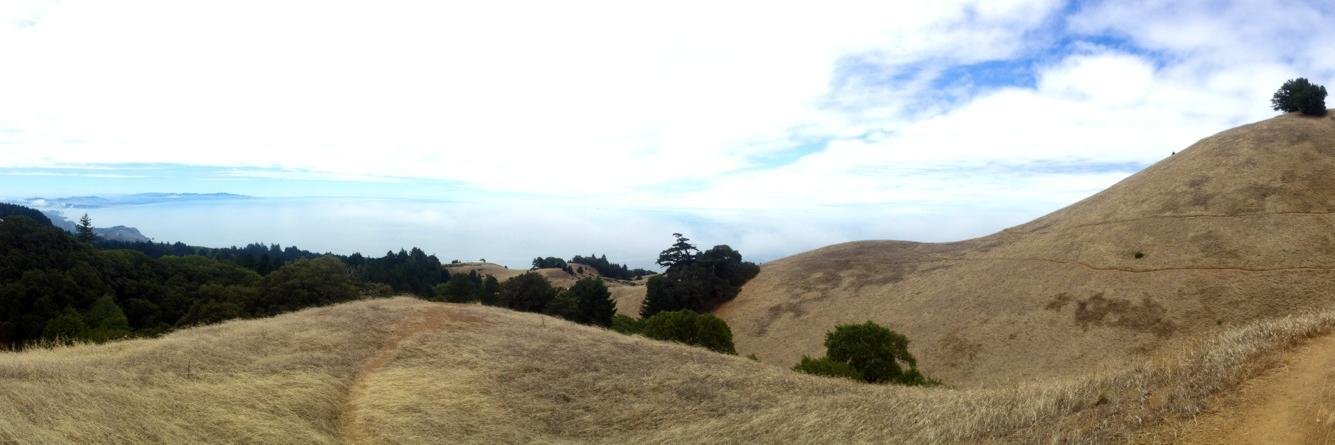 jeremiah shackelford banner