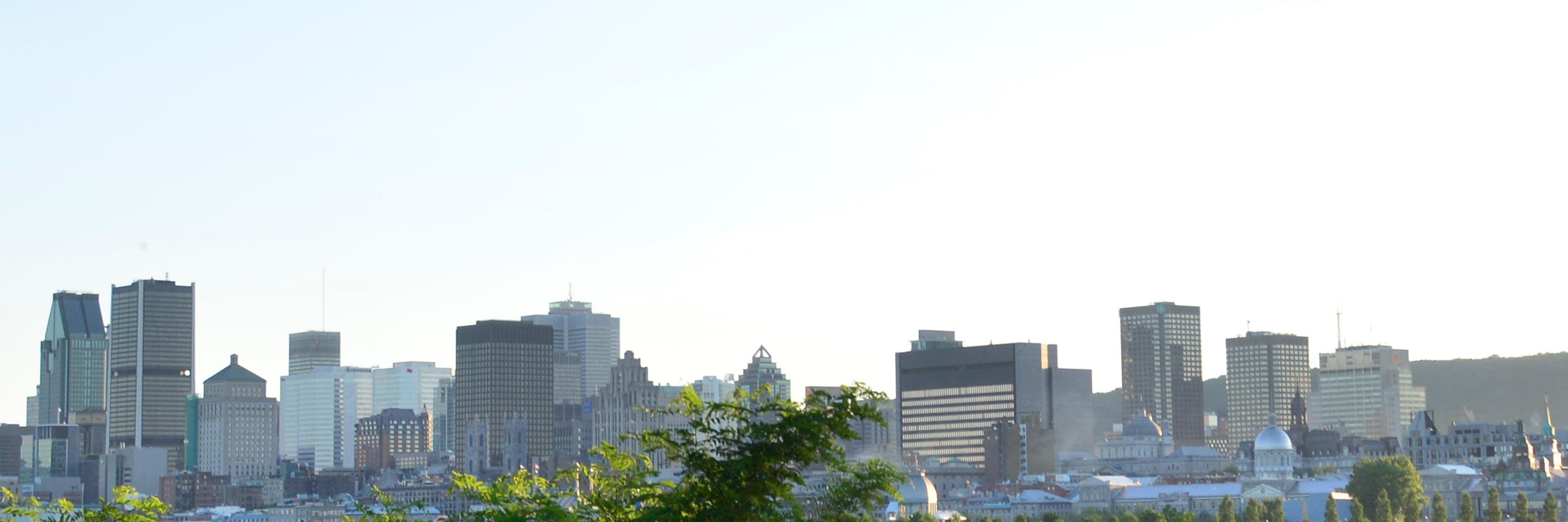 TotalMTLdotcom's profile banner image