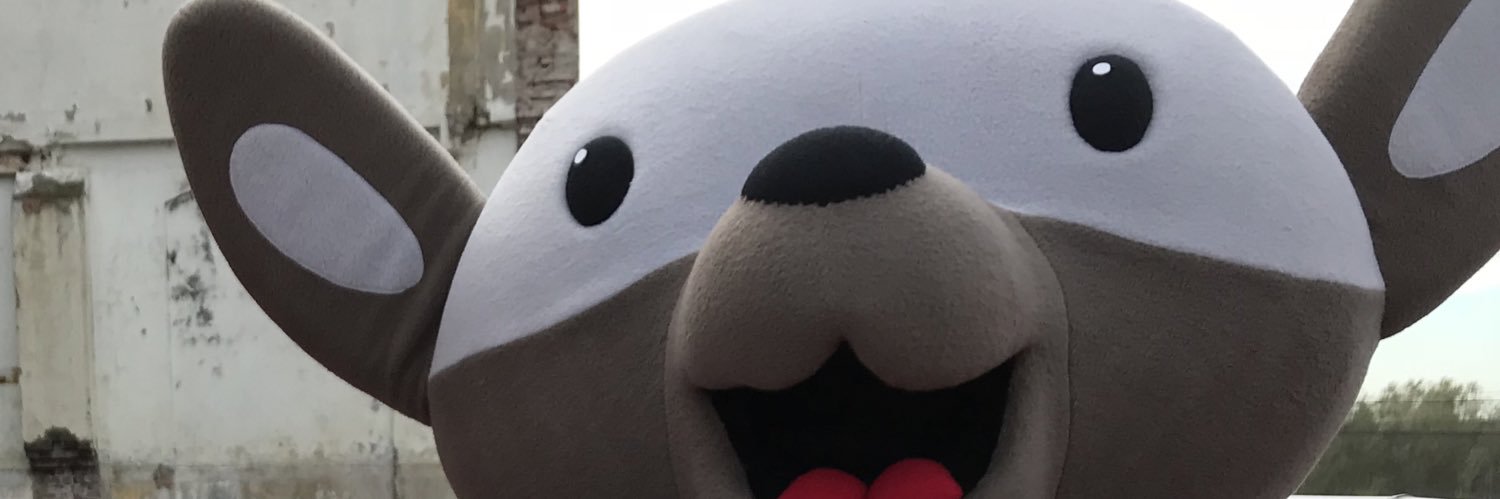 Plateau Assen banner