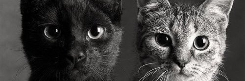 Imanueldoe's profile banner image