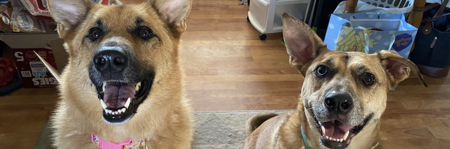 WELLSofknowlege's profile banner image