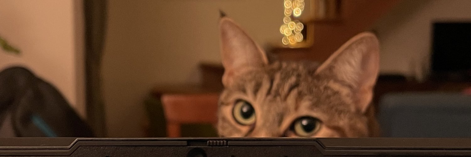 cajakit's profile banner image