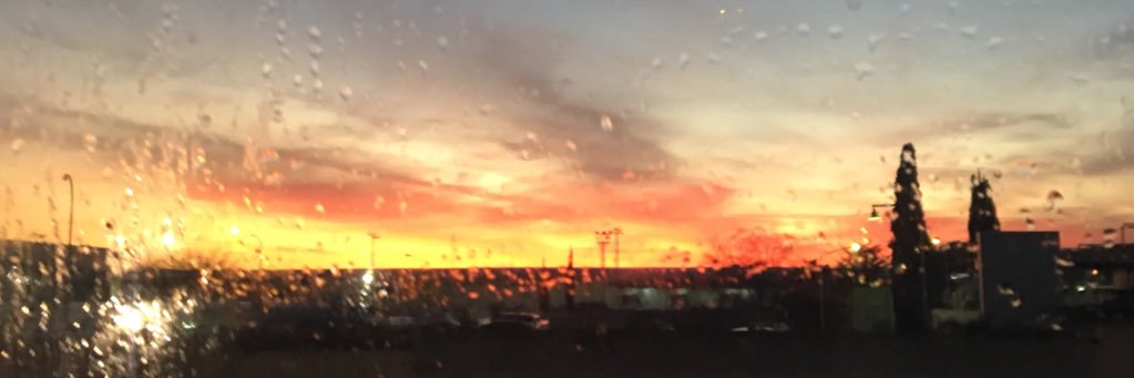 sofia_11_'s profile banner image