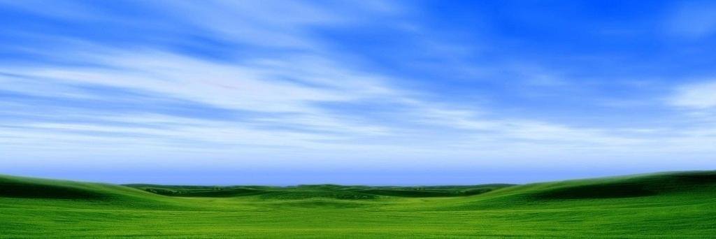Tajon banner