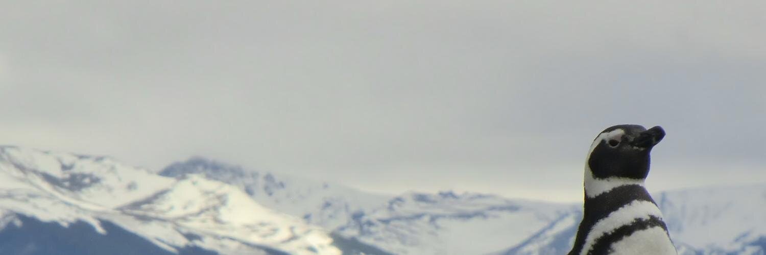 Tamerlane's Thoughts banner