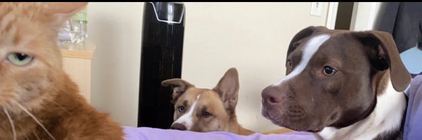 cmonkmurstuhn's profile banner image