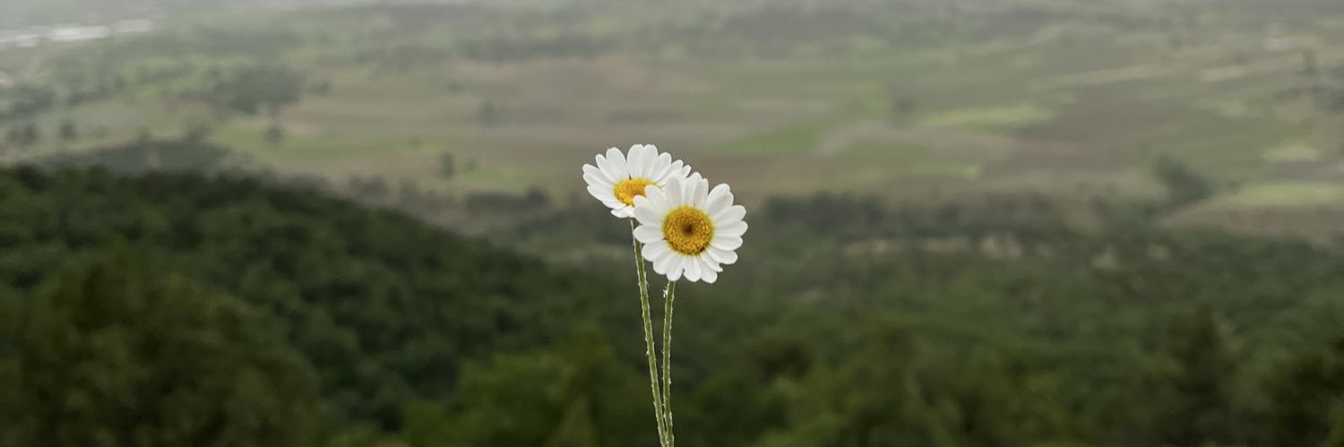 oznurdumn's profile banner image
