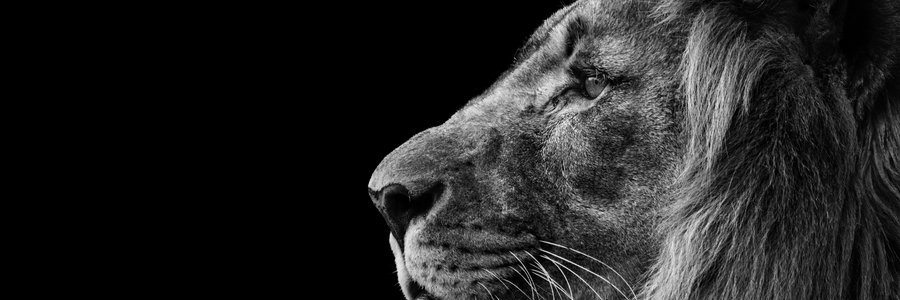 JulioKidd07's profile banner image