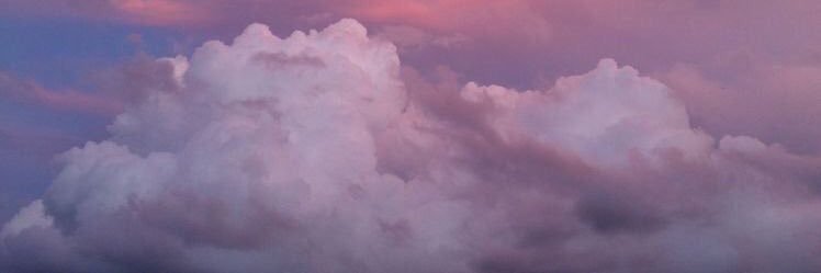 _nviia's profile banner image