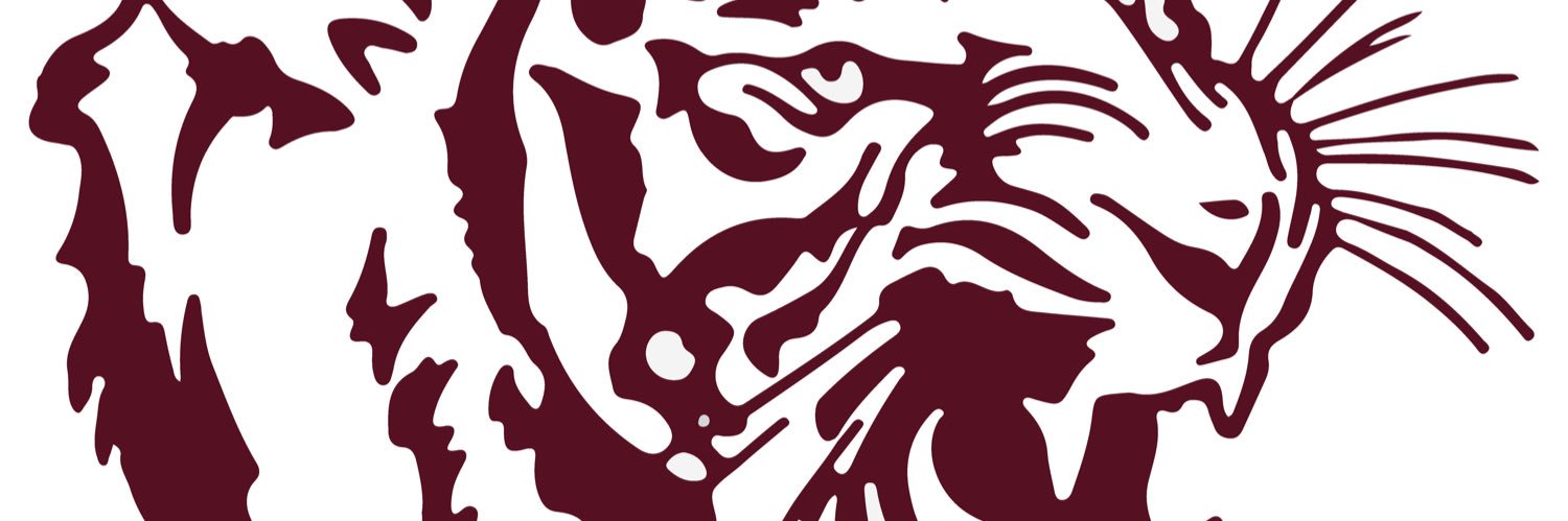 🏀 THE Consol Tigers 🏀 banner