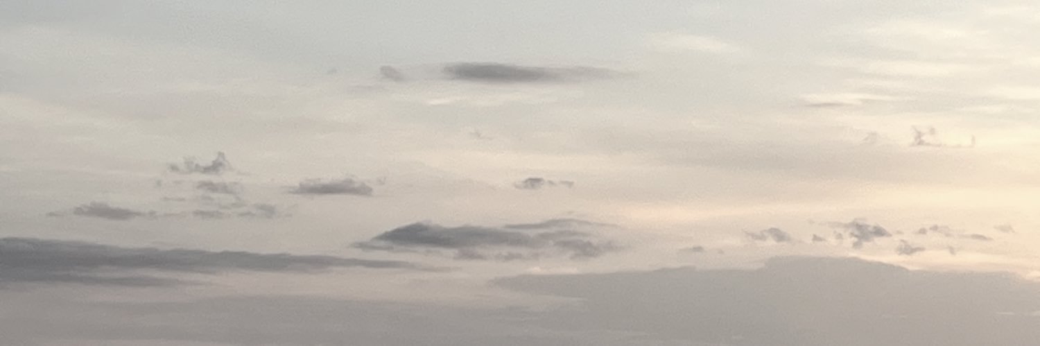 alanis banner