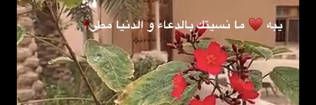 wsa_22's profile banner image